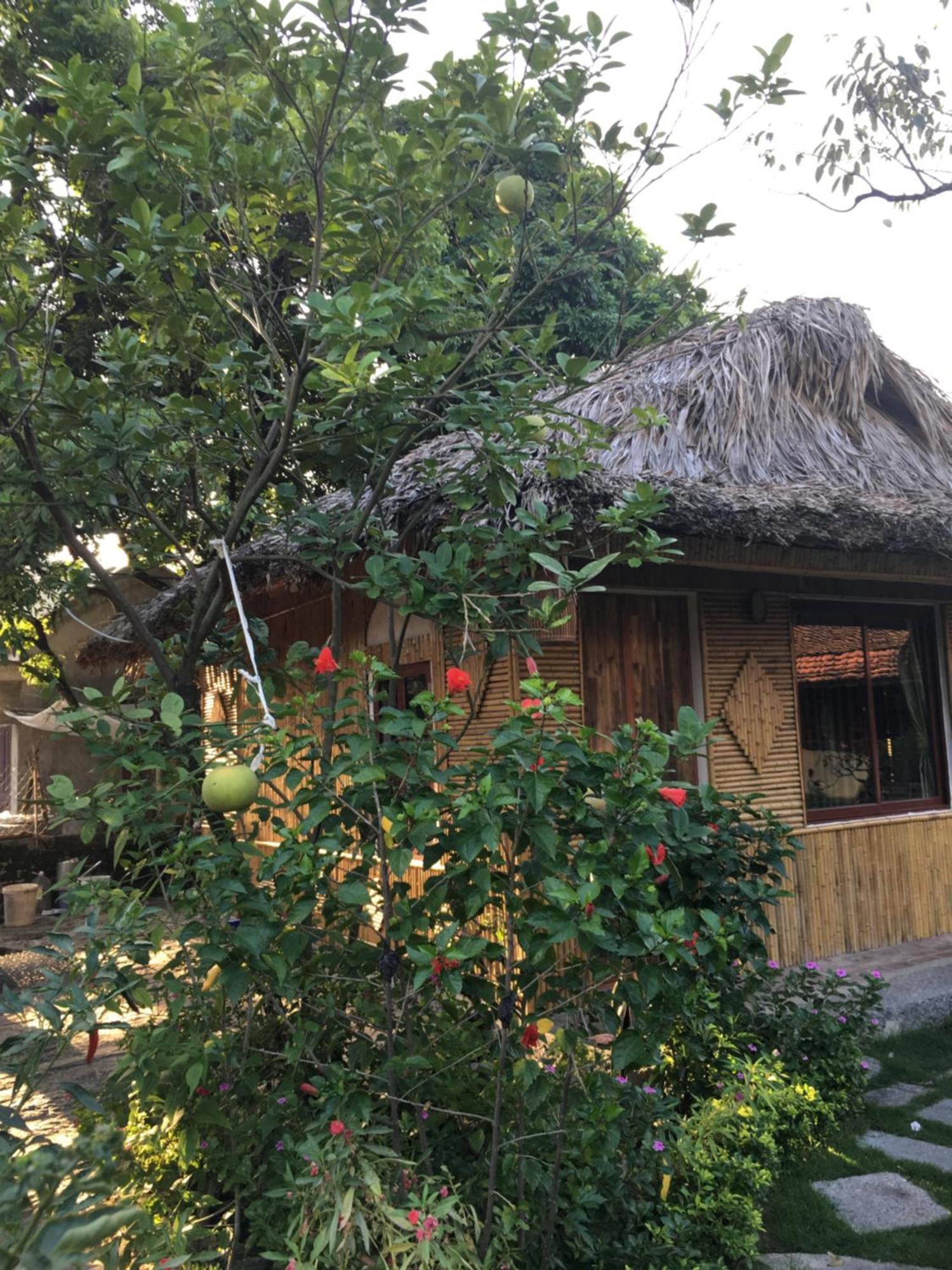Tam Coc Palm House Villa Ninh Binh Bagian luar foto