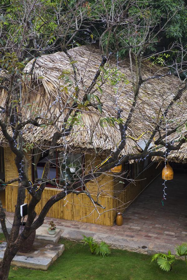 Tam Coc Palm House Villa Ninh Binh Bagian luar foto